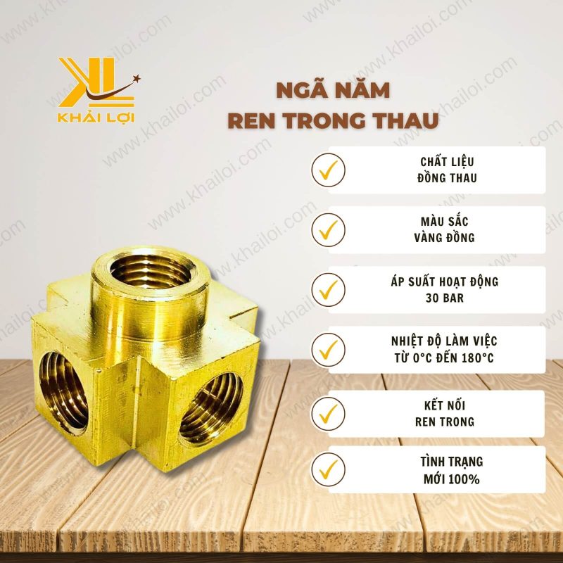 Thông tin kỹ thuật Ngã năm ren trong thau của vật tư công nghiệp Khải Lợi.