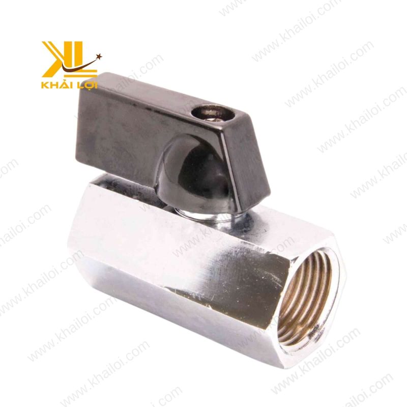 Van Bi Mini Đồng Xi trong hệ thống gia đình.