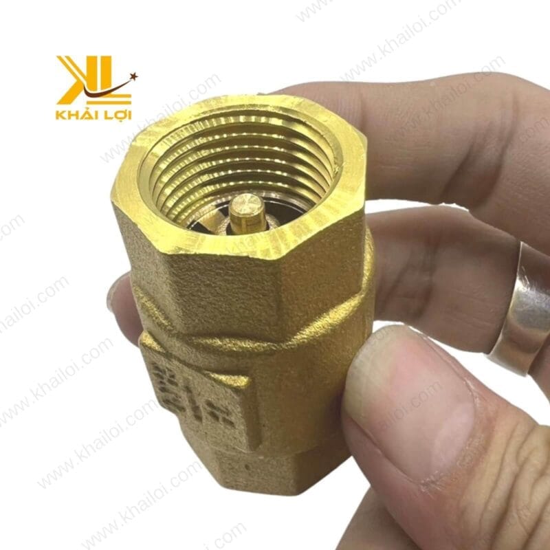 Lò xo trong van 1 chiều lò xo thau được thiết kế chịu áp lực cao.
