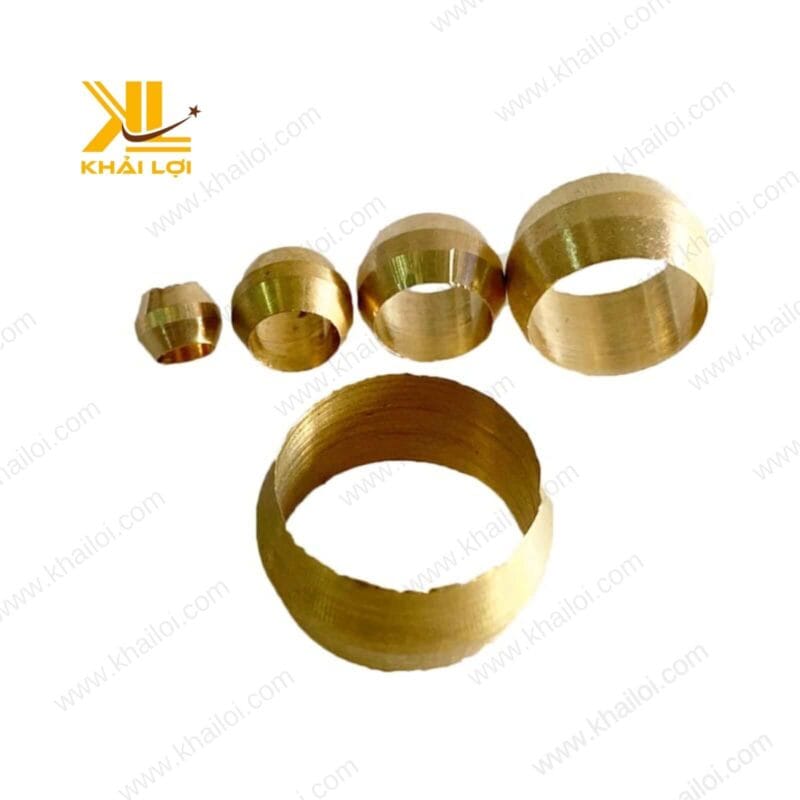 So sánh kích thước các mẫu hạt bắp đồng thông dụng.
