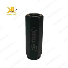 Van 1 Chiều Dầu Thủy Lực CIT kết nối chính xác.