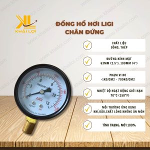 Thông số kỹ thuật đồng hồ hơi Ligi chân đứng của vật tư công nghiệp Khải Lợi.