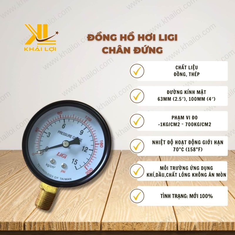 Thông số kỹ thuật đồng hồ hơi Ligi chân đứng của vật tư công nghiệp Khải Lợi.