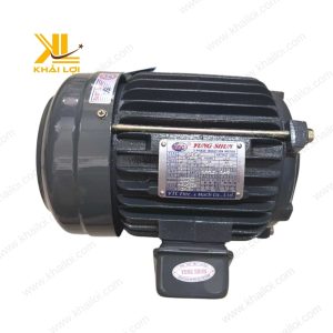 Motor VTC 2HP 3 pha với vỏ bảo vệ chống bụi.