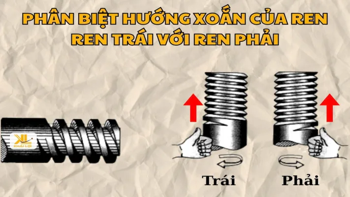 Ren Trái, Ren Phải Là Gì 3 Cách Phân Biệt Nhanh Chống Nhầm Lẫn