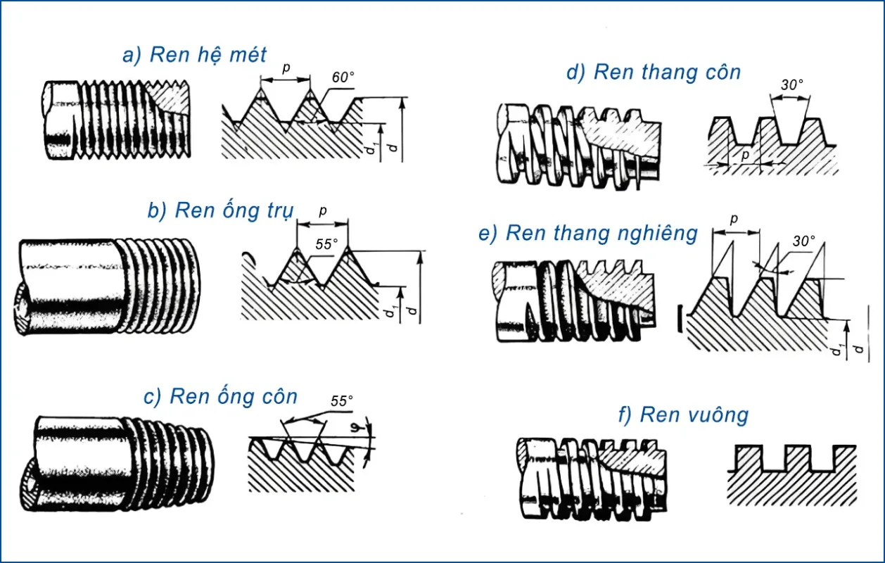 cac loai ren thong dung 1
